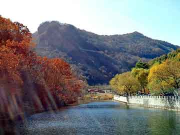 新澳天天开奖资料大全旅游团，泛目录大神